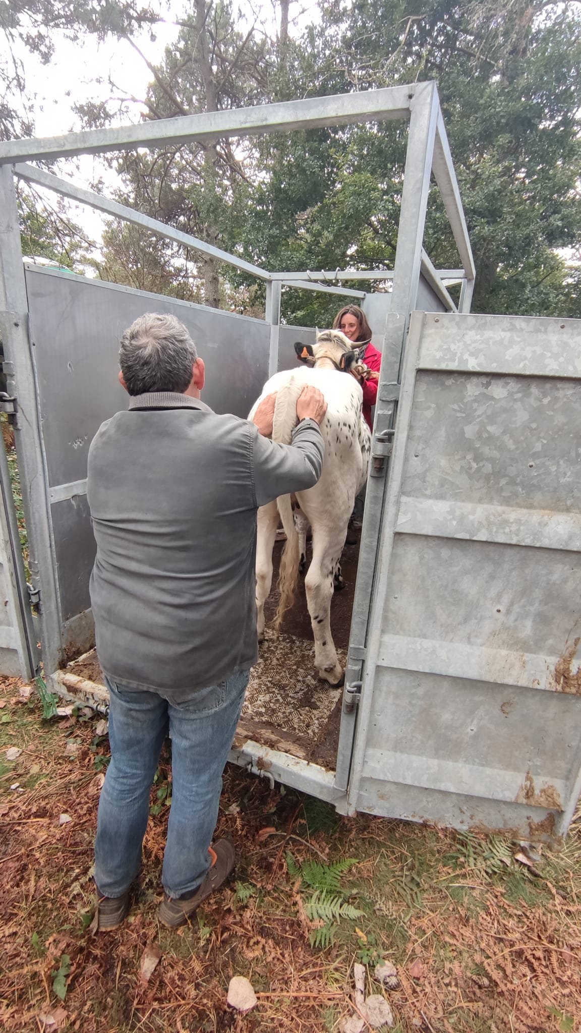 - Suite du voyage de Léonnie Biteau avec le rassemblement des meneurs de bovin 2023 (23)