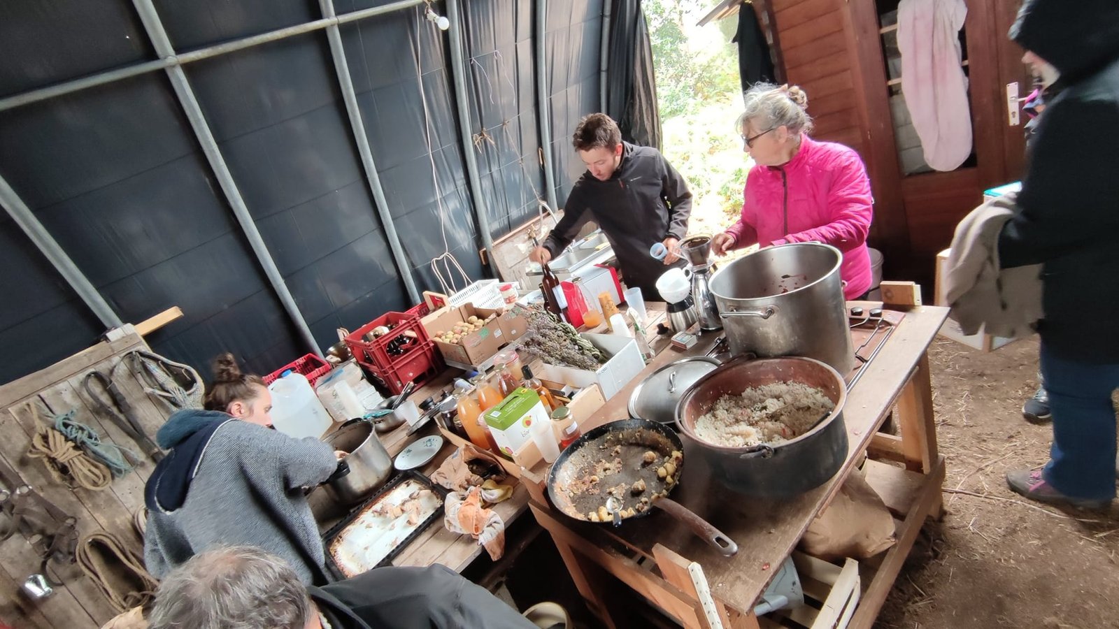 - Suite du voyage de Léonnie Biteau avec le rassemblement des meneurs de bovin 2023 (23)