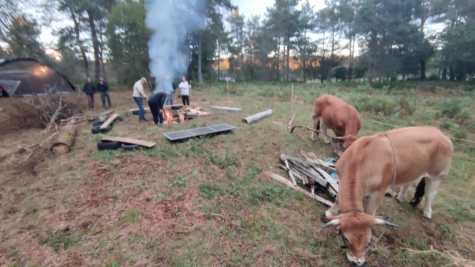 - Suite du voyage de Léonnie Biteau avec le rassemblement des meneurs de bovin 2023 (23)