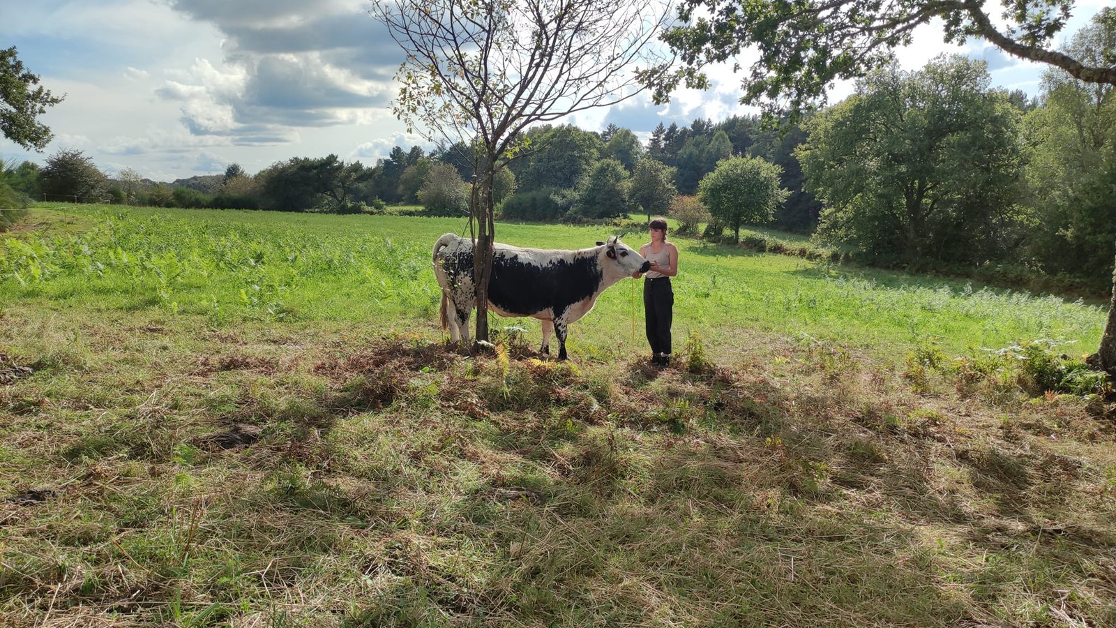 - Suite du voyage de Léonnie Biteau avec le rassemblement des meneurs de bovin 2023 (23)