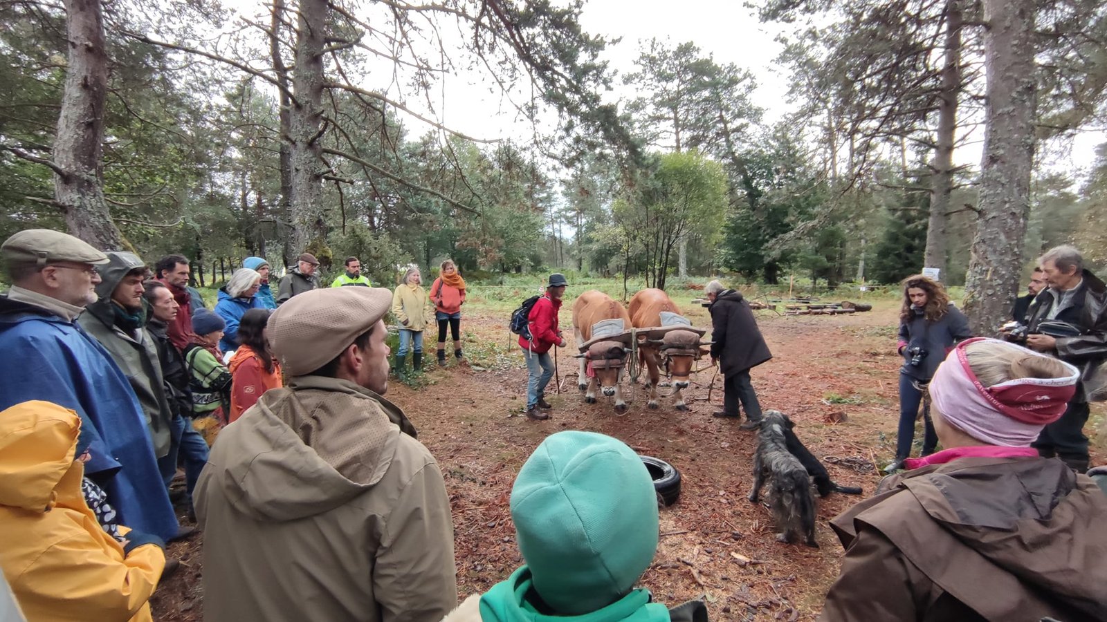 - Suite du voyage de Léonnie Biteau avec le rassemblement des meneurs de bovin 2023 (23)