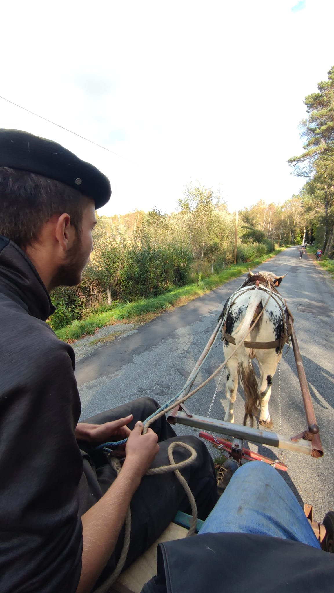 - Suite du voyage de Léonnie Biteau avec le rassemblement des meneurs de bovin 2023 (23)